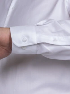 Chemise Double Retors Romeo Collection Privée Grande Taille -Capel Boutique chemise doub retors romeo leo collect privee grande taille 3