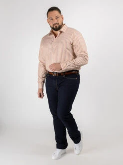 Chemise Max/leo Rayures Capel Capel Grande Taille 11 Chemise Max/leo Rayures Capel Capel Grande Taille -Capel Boutique chemise max leo rayures capel capel grande taille 2