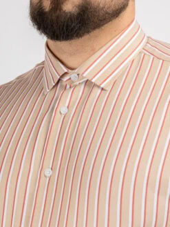 Chemise Max/leo Rayures Capel Capel Grande Taille 13 Chemise Max/leo Rayures Capel Capel Grande Taille -Capel Boutique chemise max leo rayures capel capel grande taille 4