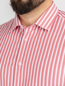 Chemise Max Rayures Capel Capel Grande Taille -Capel Boutique chemise max rayures capel capel grande taille 4