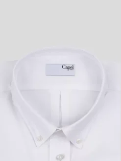 Chemise Oxford Unie Capel Grande Taille