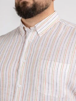 Chemise Ralph Rayee Capel Capel Grande Taille -Capel Boutique chemise ralph rayee capel capel grande taille 4