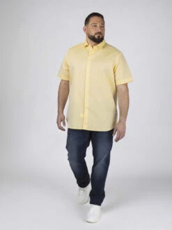 Chemisette Gatsby Jaune Capel Grande Taille -Capel Boutique chemisette gatsby leo jaune capel grande taille 3