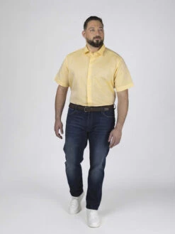 Chemisette Gatsby Jaune Capel Grande Taille -Capel Boutique chemisette gatsby leo jaune capel grande taille 4