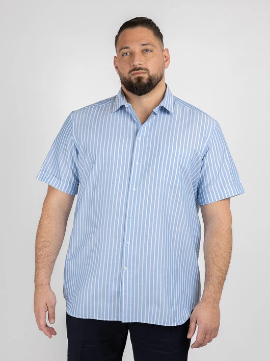 Chemisette Rayee Greg Capel Grande Taille 3 Chemisette Rayee Greg Capel Grande Taille