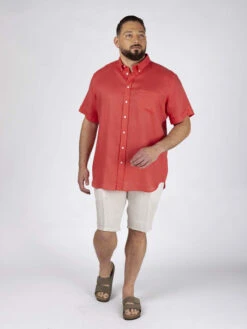 Chemisette Zack Lin Corail Capel Grande Taille -Capel Boutique chemisette zack lin corail capel grande taille 2