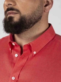 Chemisette Zack Lin Corail Capel Grande Taille -Capel Boutique chemisette zack lin corail capel grande taille 4