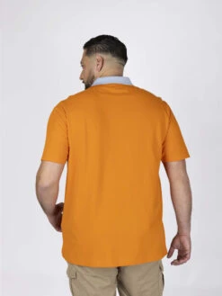 Paul&Shark Polo Avec Contraste Au Col Paul & Shark Grande Taille -Capel Boutique polo avec contraste au col paul shark grande taille 2