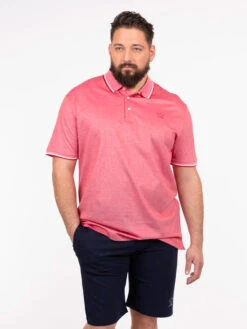 Paul&Shark Polo Coton Piqué Rouge Paul & Shark Grande Taille