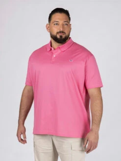 Paul&Shark Polo Piqué Rose Paul & Shark Grande Taille