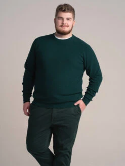 Pull Col Rond Vert Foret Capel Grande Taille -Capel Boutique pull col rond vert foret capel grande taille 2