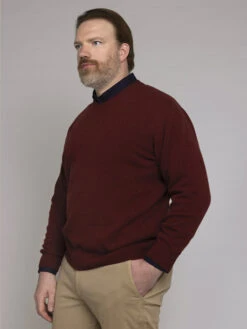 Pull Lambswool Como Col V Capel Grande Taille -Capel Boutique pull lambswool como col v capel grande taille 3