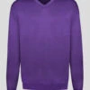 Pull Mérinos Como Col V Violet Capel Grande Taille